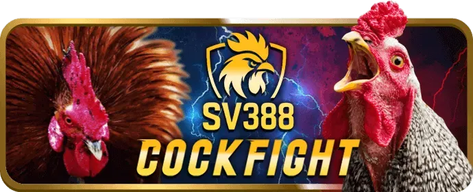 Quản lý tài khoản Win55 dễ dàng