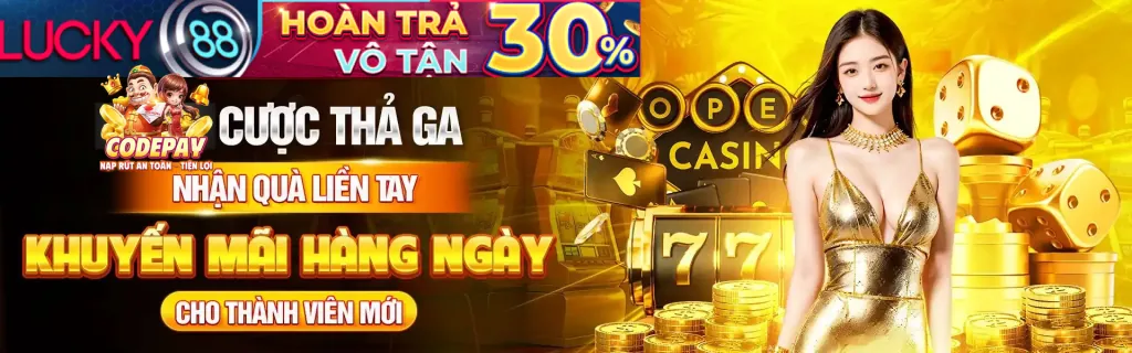 Thu thập thông tin người dùng WIN55